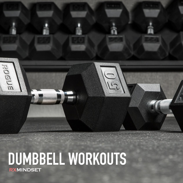 100+ dumbbell workouts